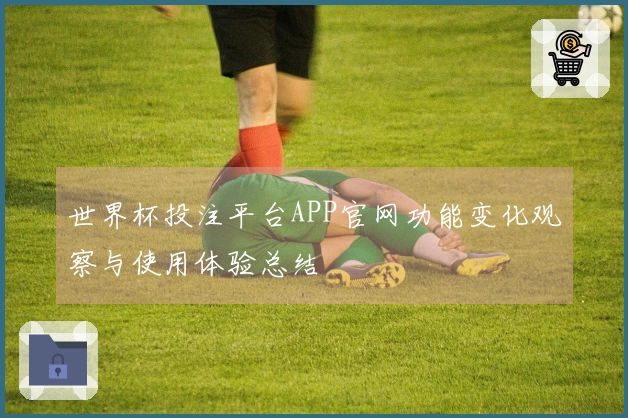 世界杯投注平台APP官网功能变化观察与使用体验总结