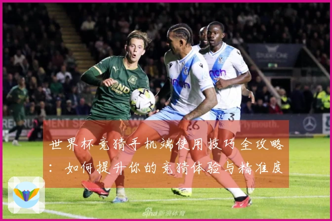 世界杯竞猜手机端使用技巧全攻略：如何提升你的竞猜体验与精准度