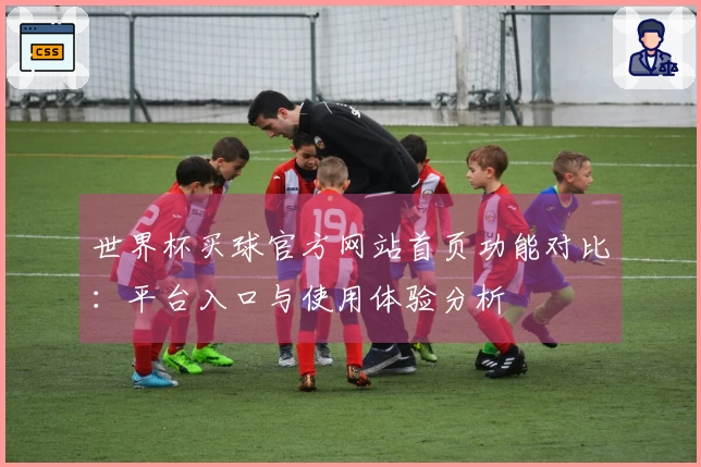 世界杯买球官方网站首页功能对比：平台入口与使用体验分析