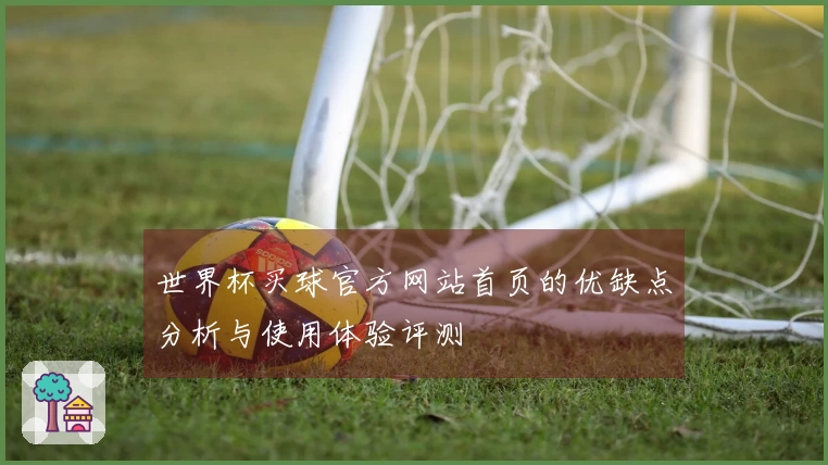 世界杯买球官方网站首页的优缺点分析与使用体验评测