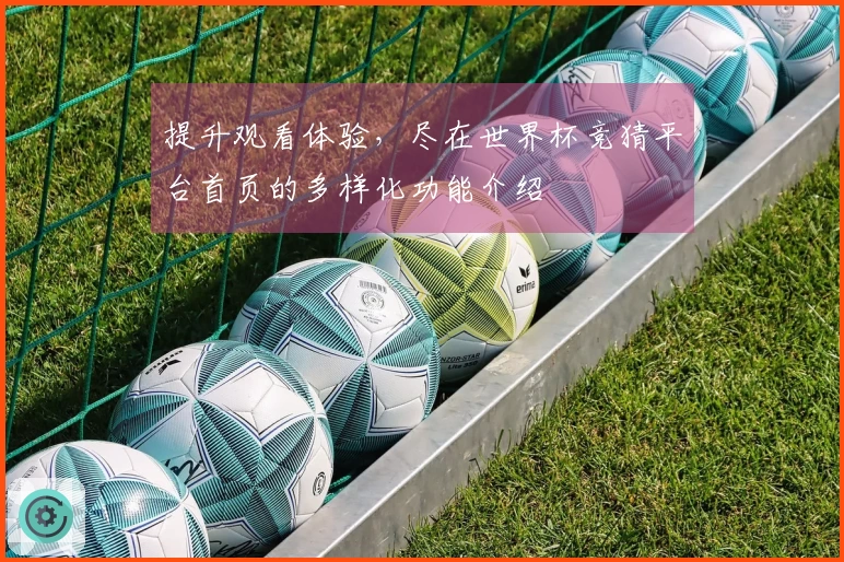 提升观看体验，尽在世界杯竞猜平台首页的多样化功能介绍