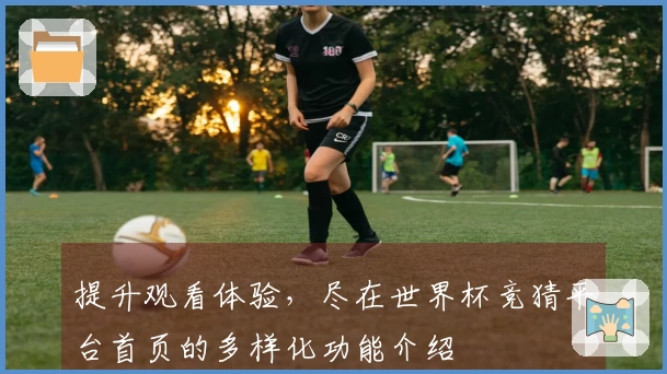 提升观看体验，尽在世界杯竞猜平台首页的多样化功能介绍