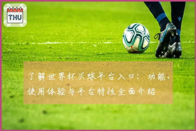 了解世界杯买球平台入口：功能、使用体验与平台特性全面介绍